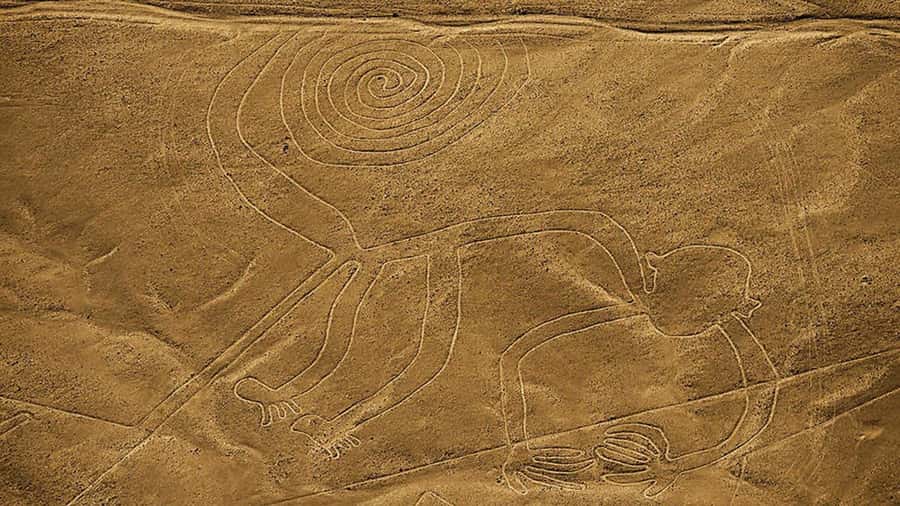 From Lima: Full day flight over in the Nazca Lines - What you see from the aircraft