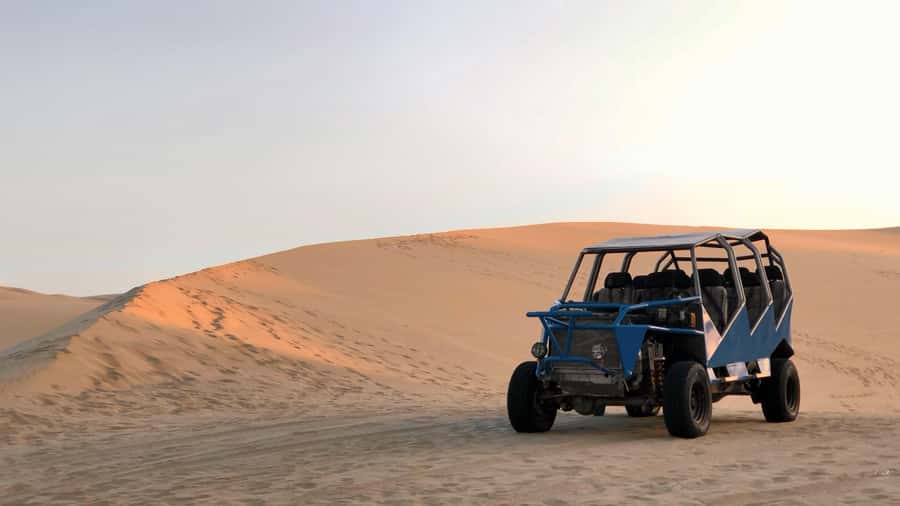From Lima: Full Day to Paracas and Huacachina Desert Oasis - Lunch, wine, and pisco at Nieto