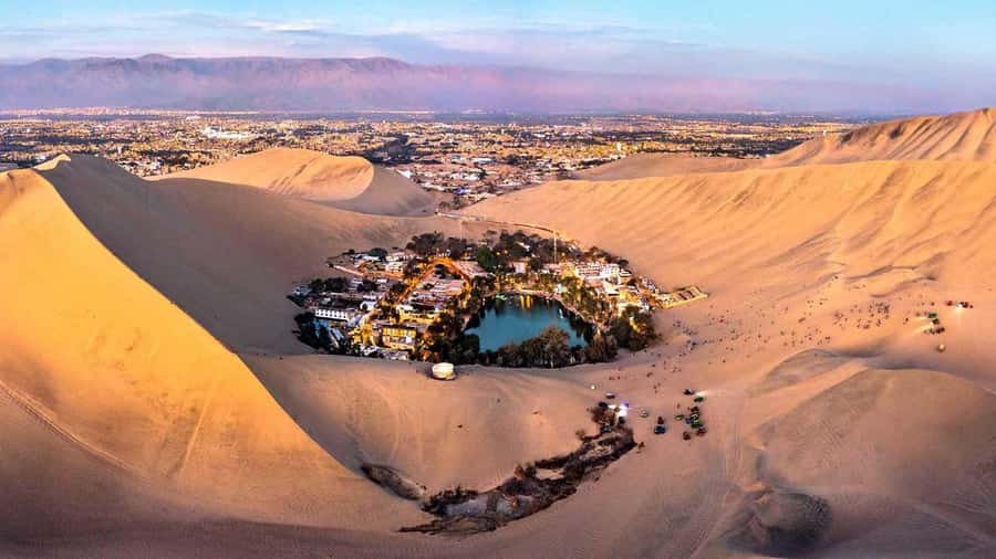 From Lima: Full Day Tour (Paracas + Huacachina) - From the coast to Ica’s wine and pisco tasting