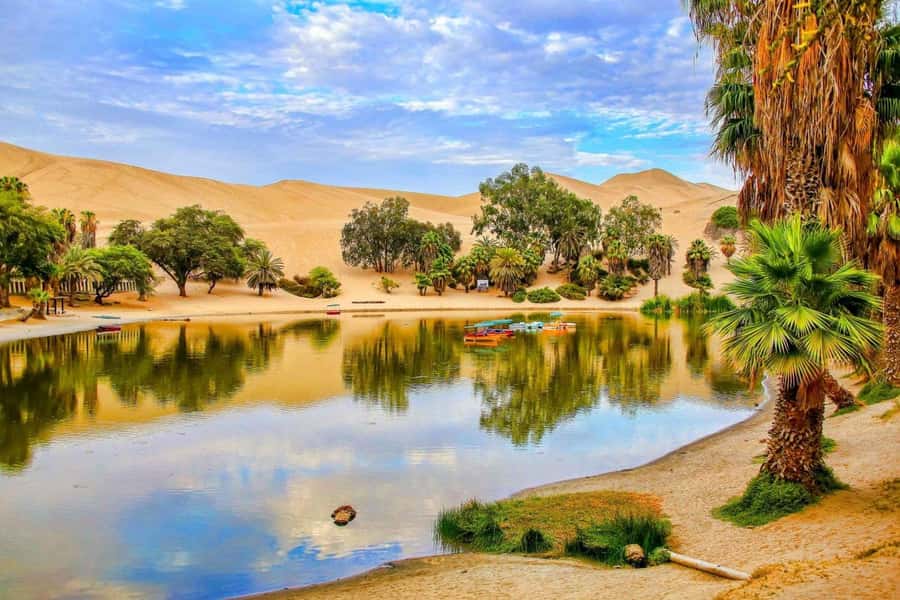 From Lima: Huacachina Oasis & Ballestas Island - ENGL / ESPA - Ballestas Island by boat from El Chaco
