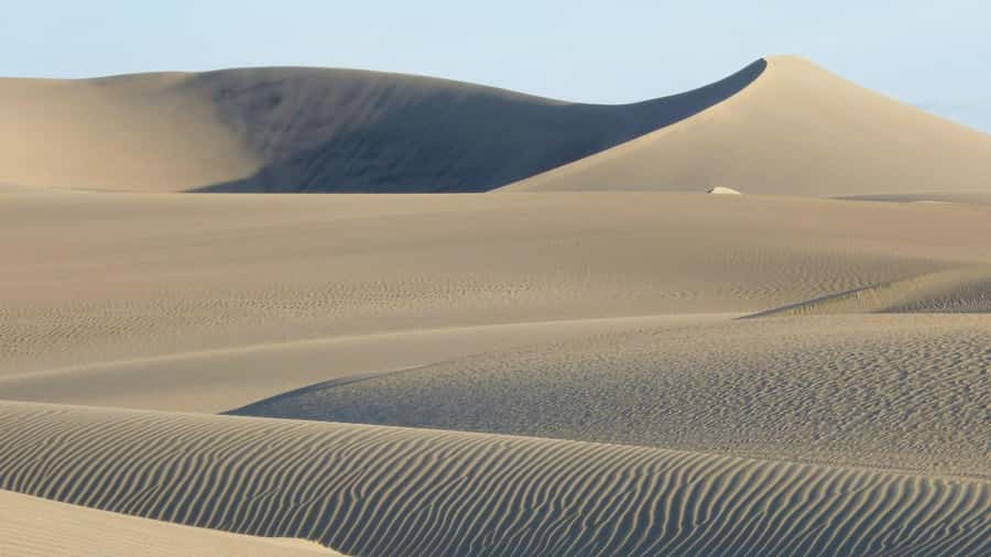 From Lima: Huacachina Oasis & Ballestas Island - ENGL / ESPA - Guide language and the pace of the day