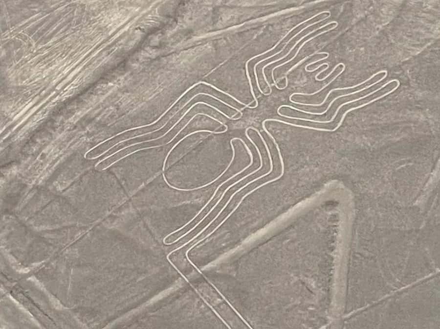 From Lima: Nazca Lines Flight with Huacachina Oasis Tour - Is $480 a fair price?