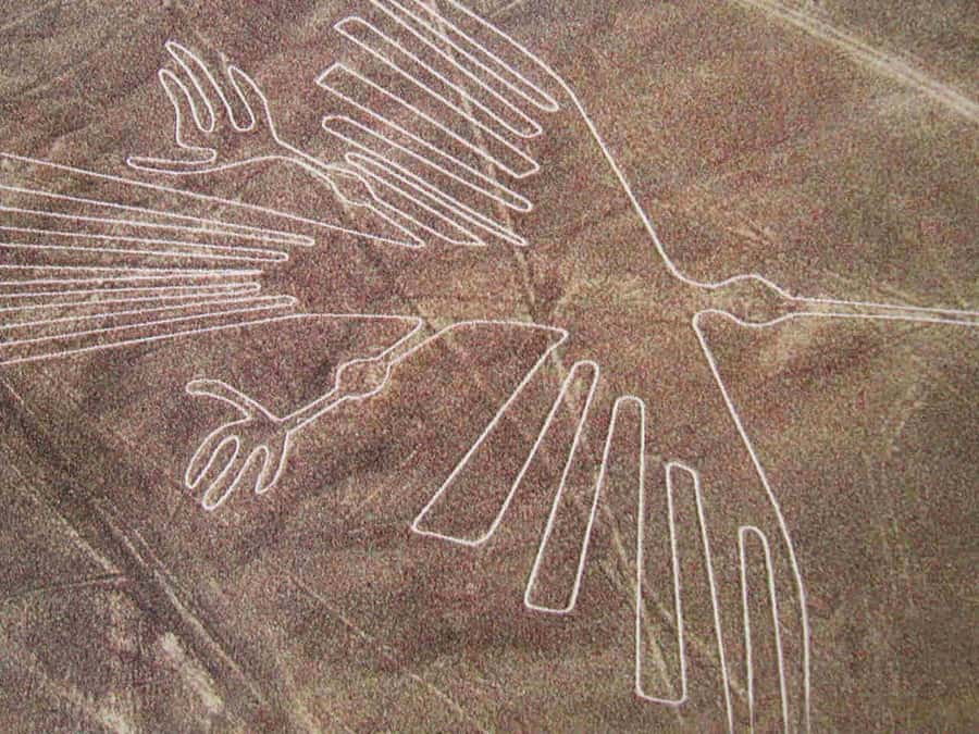 From Lima: Nazca Lines Flight with Huacachina Oasis Tour - Who should book this experience?