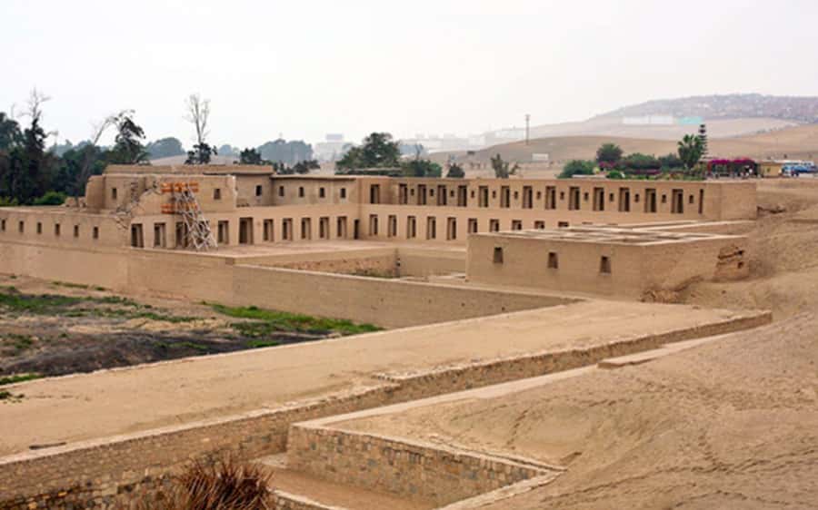 From Lima: Pachacamac Inka Pyramids & The Larco Museum Tour - Who should choose this tour?