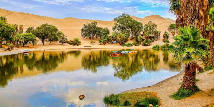 From Lima: Paracas and Huacachina Guided Desert Oasis Trip - What $75 really covers