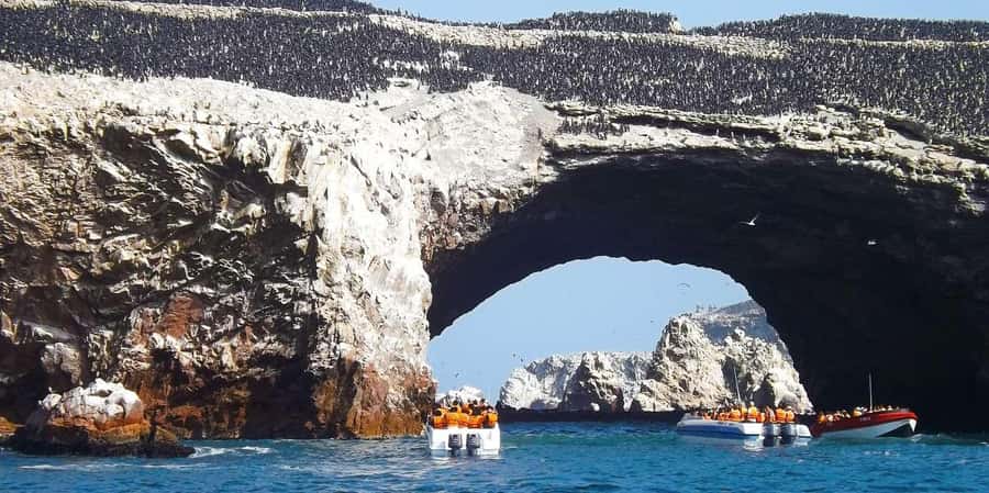 From Lima: Paracas and Huacachina Guided Desert Oasis Trip - Who will enjoy this day most