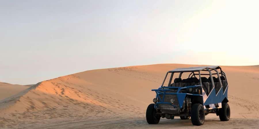 From Lima: Paracas and Huacachina Guided Desert Oasis Trip - Ballestas Islands, Peru’s lively marine stop