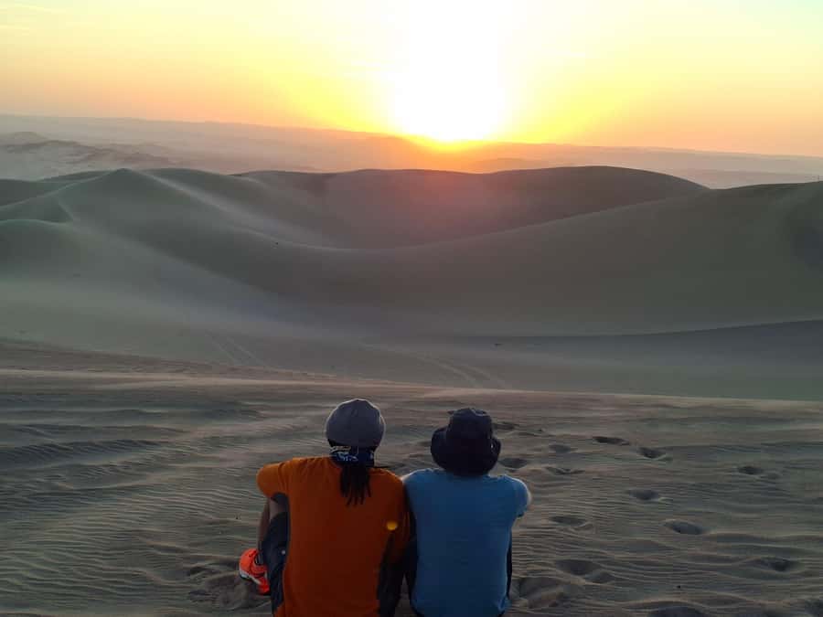 From Lima: Paracas and Huacachina Oasis Full Day Guided Tour - Ballestas Islands: wildlife with salt spray