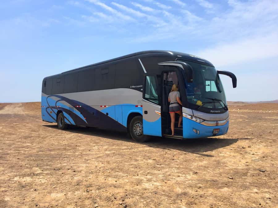 From Lima: Paracas and Huacachina Oasis Full Day Guided Tour - Practical packing list for the desert and sea