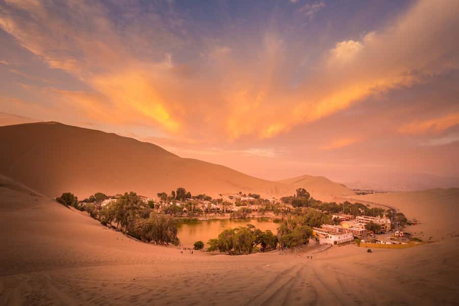 From Lima: Paracas and Huacachina Oasis Full Day Tour - Ballestas Islands: penguins, sea lions, and seabirds
