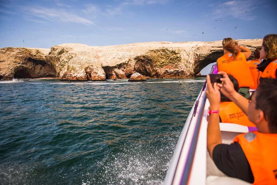 From Lima: Paracas and Huacachina Oasis Full Day Tour - Huacachina buggy rides and sandboarding