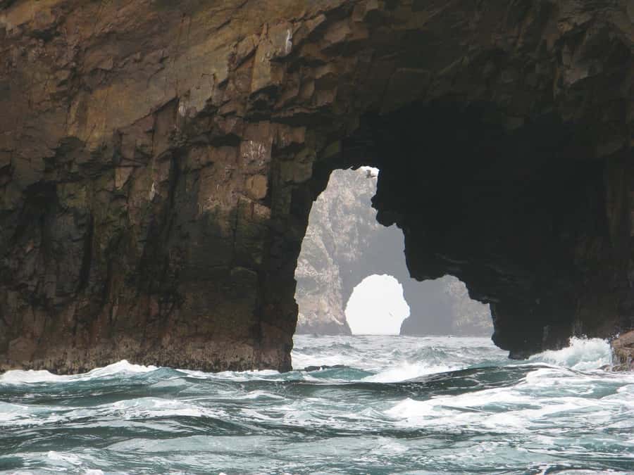 From Lima: Paracas and Huacachina Oasis Full Day Tour - What $65 really gets you