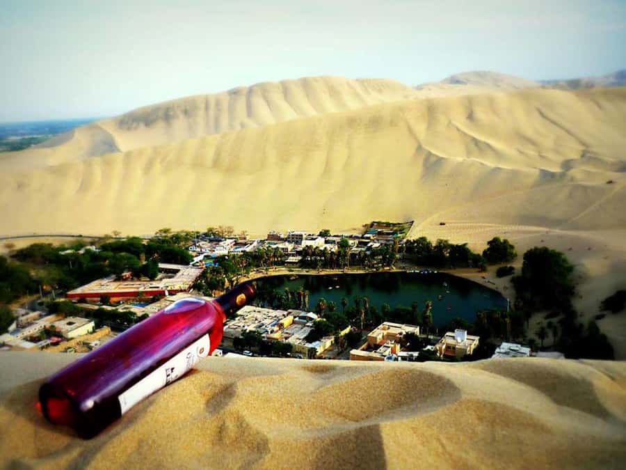 From Lima:Paracas Ballestas Islands and Ica Oasis 1 day Tour - Paracas free time and the road to Ica