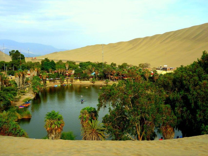 From Lima:Paracas Ballestas Islands and Ica Oasis 1 day Tour - How the $76 price works for you