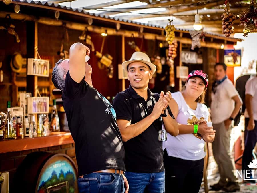 From Lima: Sunset in Huacachina Oasis & vinneyard with lunch - Ica’s winery and pisco tasting