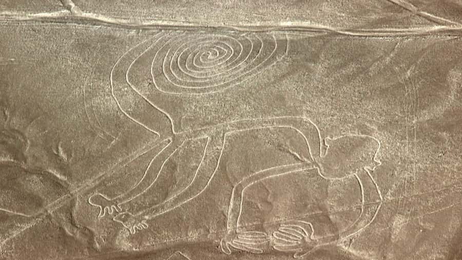 From Nazca: Flight in a light aircraft over the Nazca Lines - Why the Nazca Lines are best seen from the air