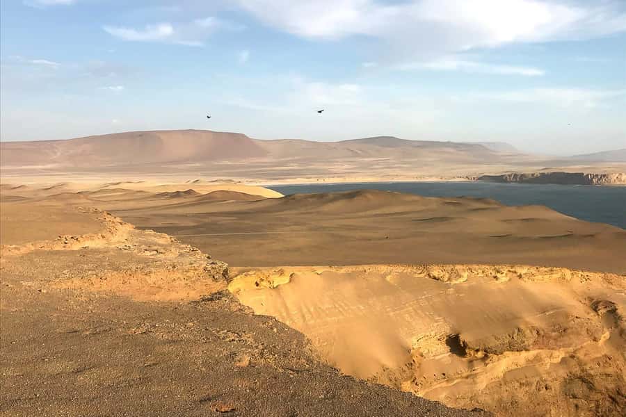 From Paracas: Ballestas Islands & Paracas National Reserve - Sea lions, penguins, pelicans, and changing conditions