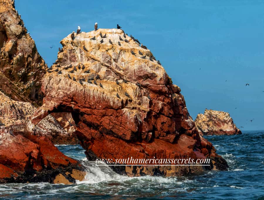 From Paracas: Ballestas Islands tour all Inclusive - The boat ride to the Ballestas Islands
