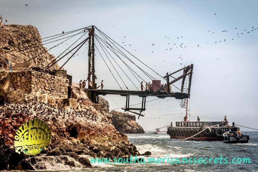 From Paracas: Ballestas Islands tour all Inclusive - The Candelabro: a desert figure viewed from the water