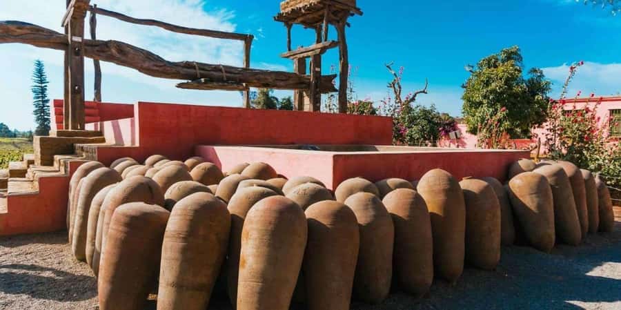 From Paracas | Excursion to Ica and Huacachina - FAQ