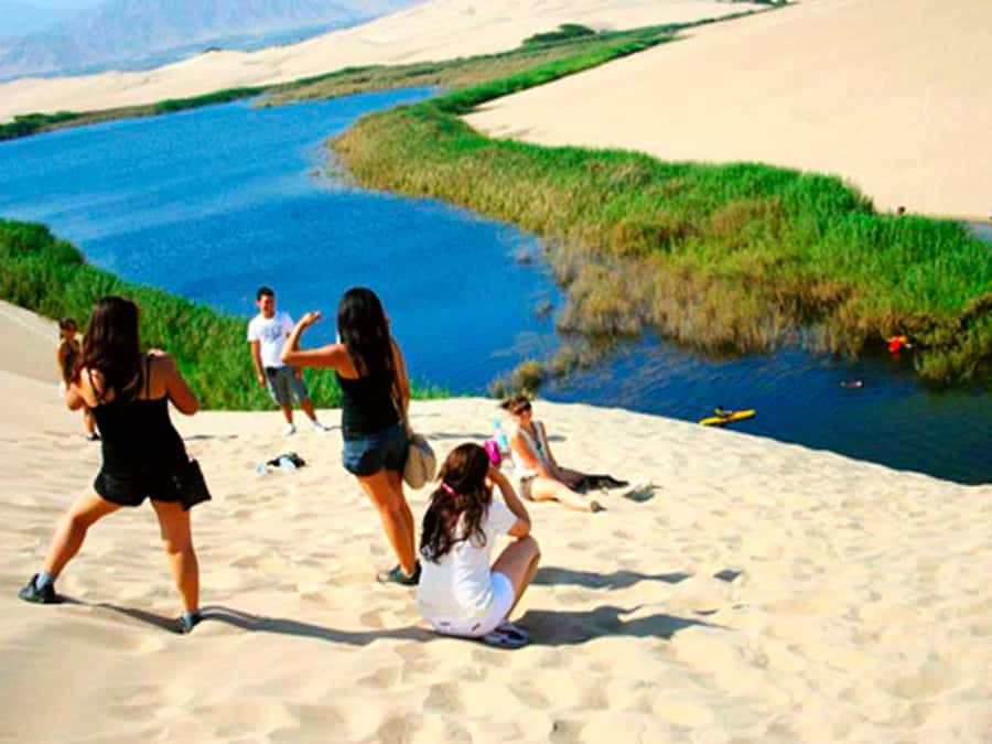 From Paracas: Mini Buggy Tour & Sandboarding at Oasis - Racing through the California desert from Paracas