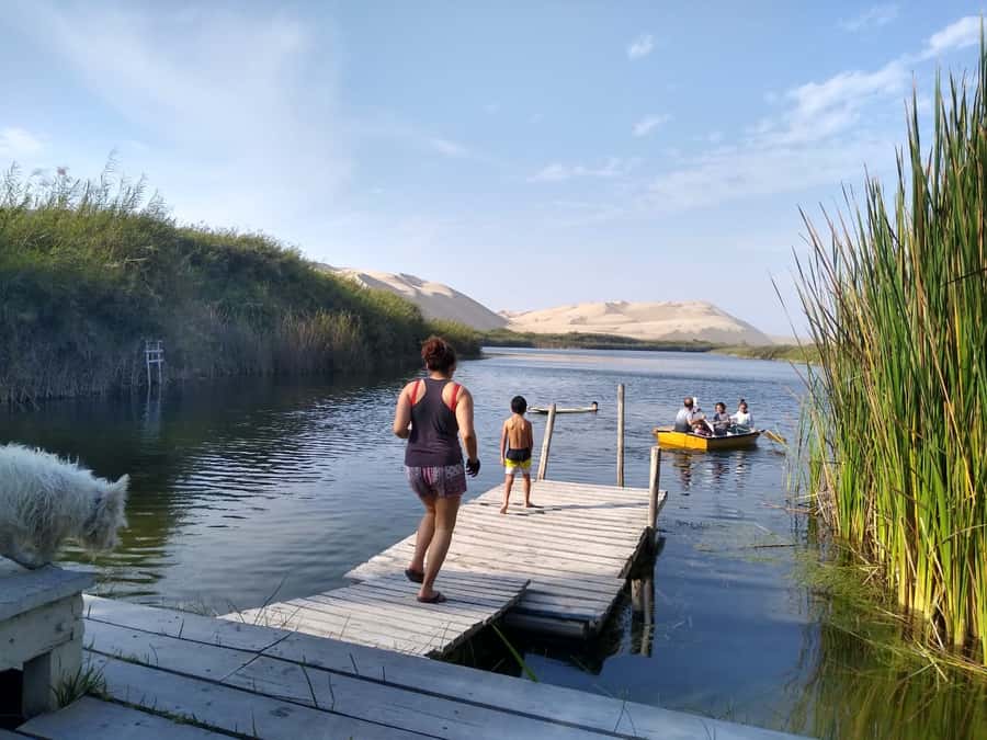 From Paracas: Mini Buggy Tour & Sandboarding at Oasis - Is $83 a fair price?