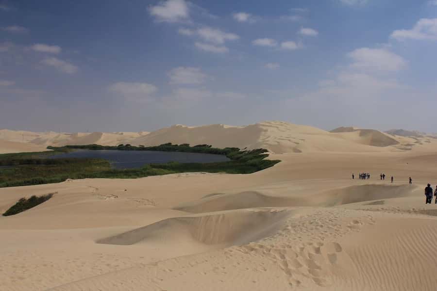 From Paracas: Mini Buggy Tour & Sandboarding at Oasis - Who will enjoy this tour most?