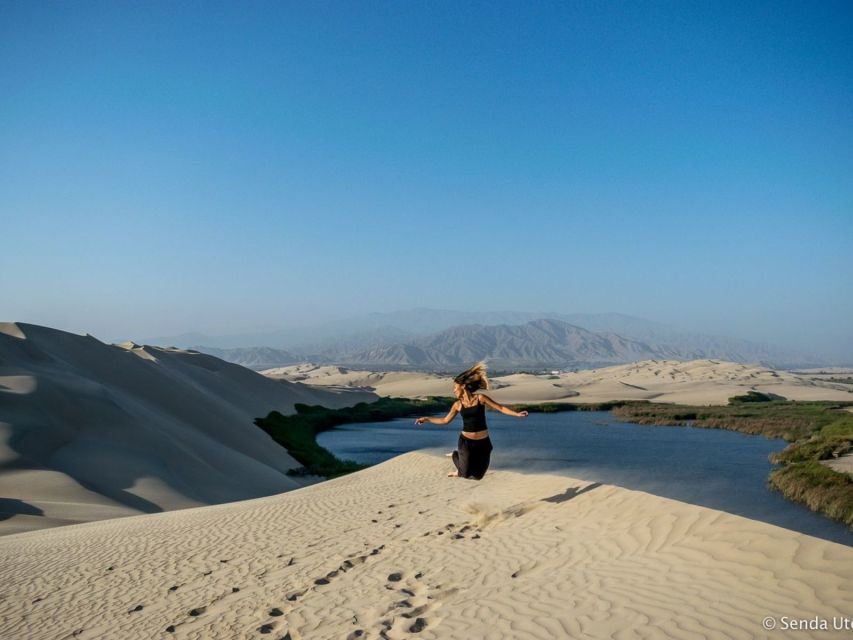 From Paracas: Mini Buggy Tour & Sandboarding at Oasis - Should you book the Oasis of Costa Rica buggy tour?