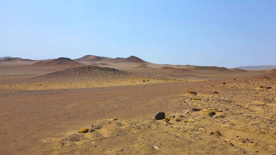 From Paracas: Paracas National Reserve Private Tour - Why Paracas Reserve is worth your morning