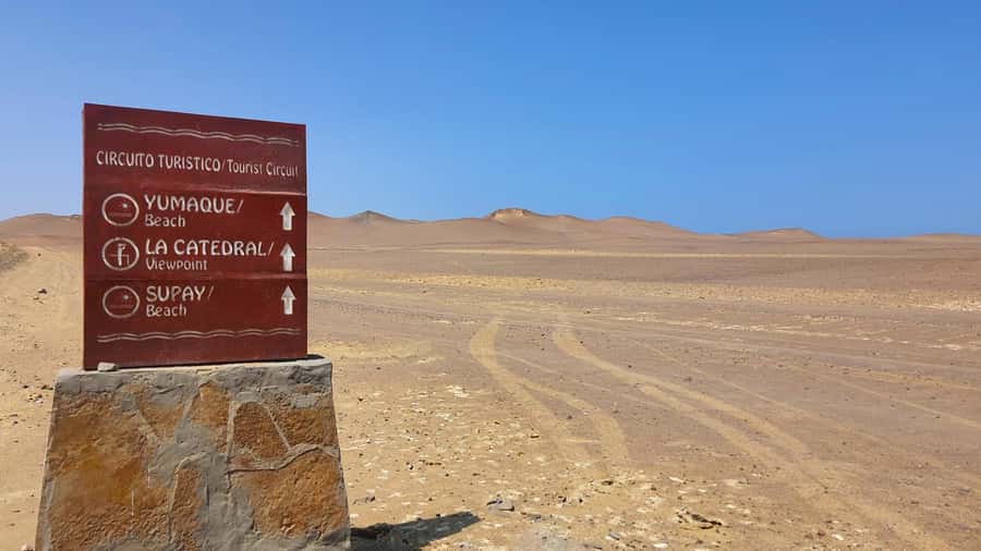 From Paracas: Paracas National Reserve Private Tour - Timing, comfort, and who should book