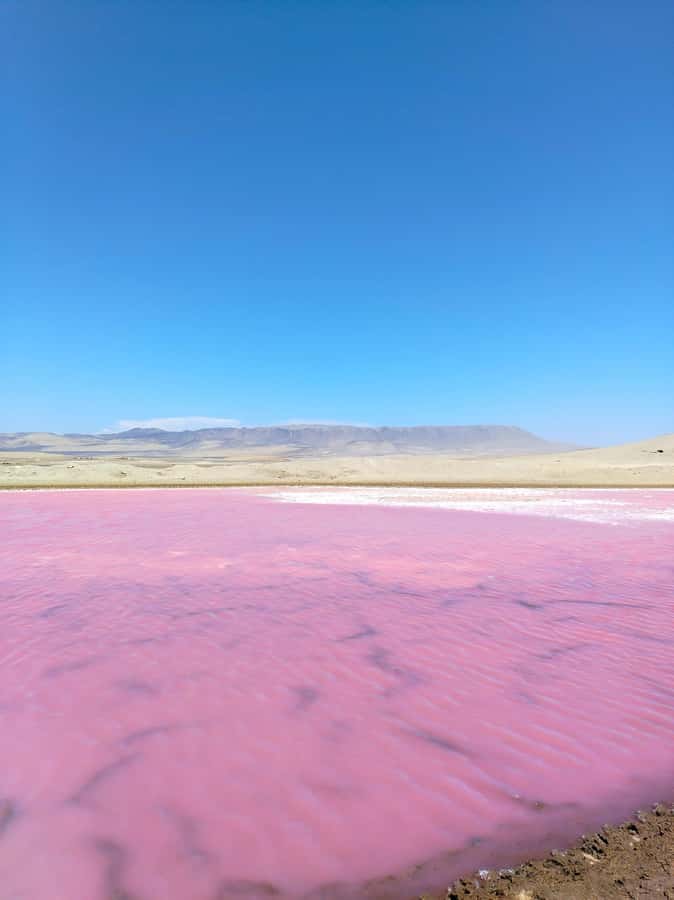 From Paracas: Paracas National Reserve Private Tour - Pickup from Paracas or Pisco