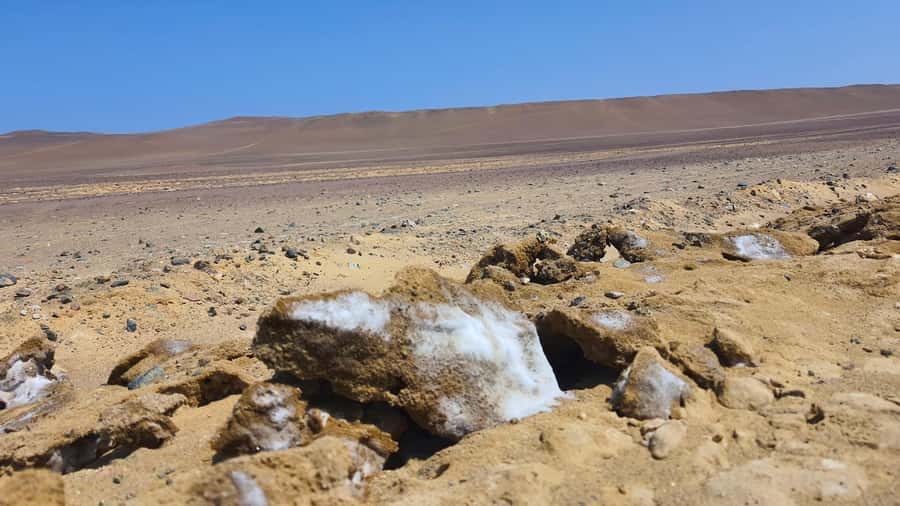 From Paracas: Paracas National Reserve Private Tour - The visitor center and local natural life