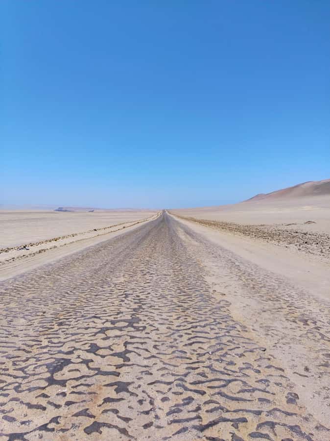 From Paracas: Paracas National Reserve Private Tour - Lagunillas Beach and the coastal change of pace