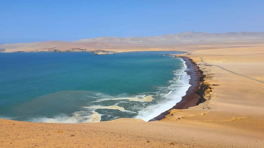 From Paracas: Paracas National Reserve Private Tour - Birdlife and the sea lion colony