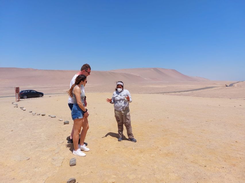 From Paracas: Paracas National Reserve Private Tour - What the $48 price gets you