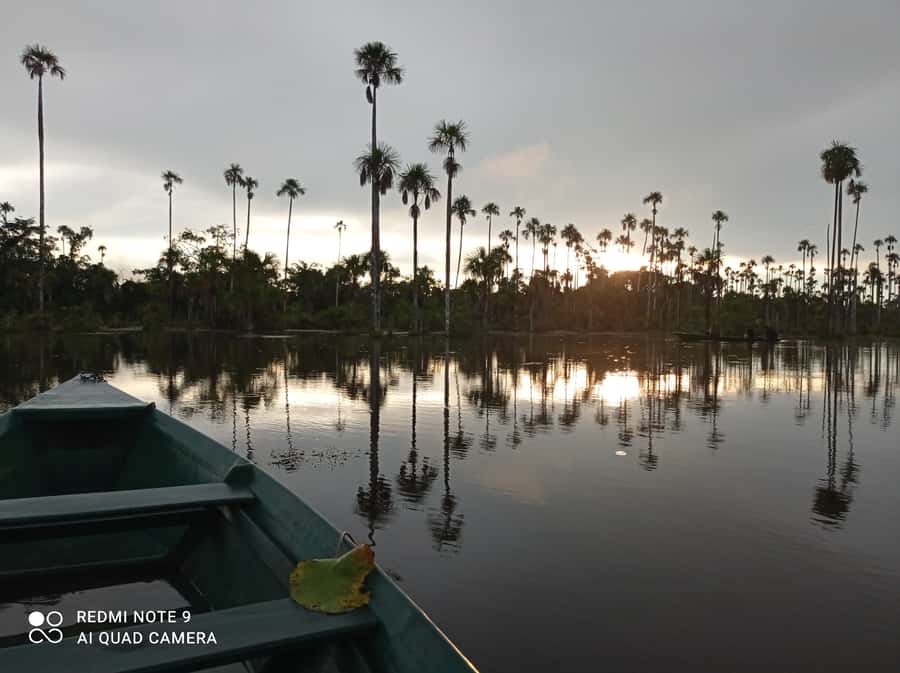 From Puerto Maldonado: 4-Day Excursion /wildlifesearch - Key points worth knowing