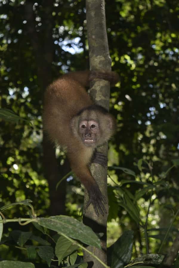 From Puerto Maldonado: 4-Day Excursion /wildlifesearch - What the $425 price really covers