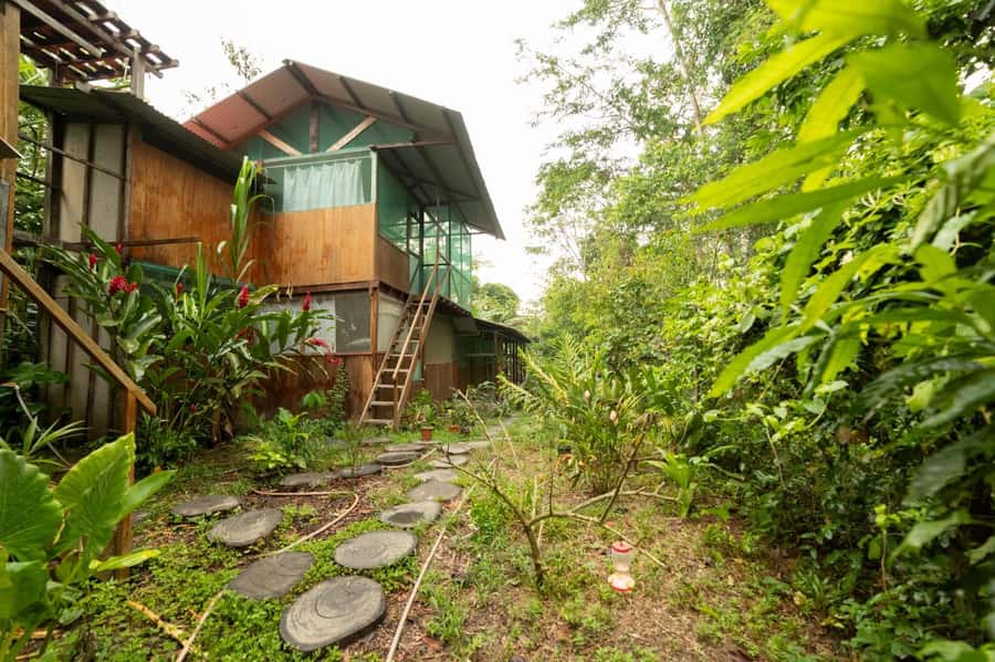 From Puerto Maldonado: 4-Day Excursion /wildlifesearch - Who will enjoy this trip most