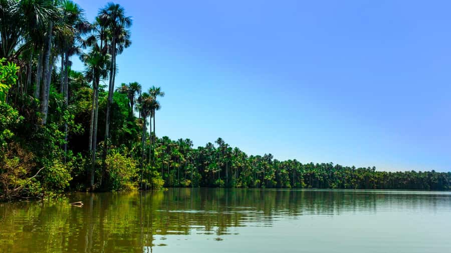 From Puerto Maldonado | Jungle hike + Sandoval Lake | - The short ride to Tambopata National Reserve