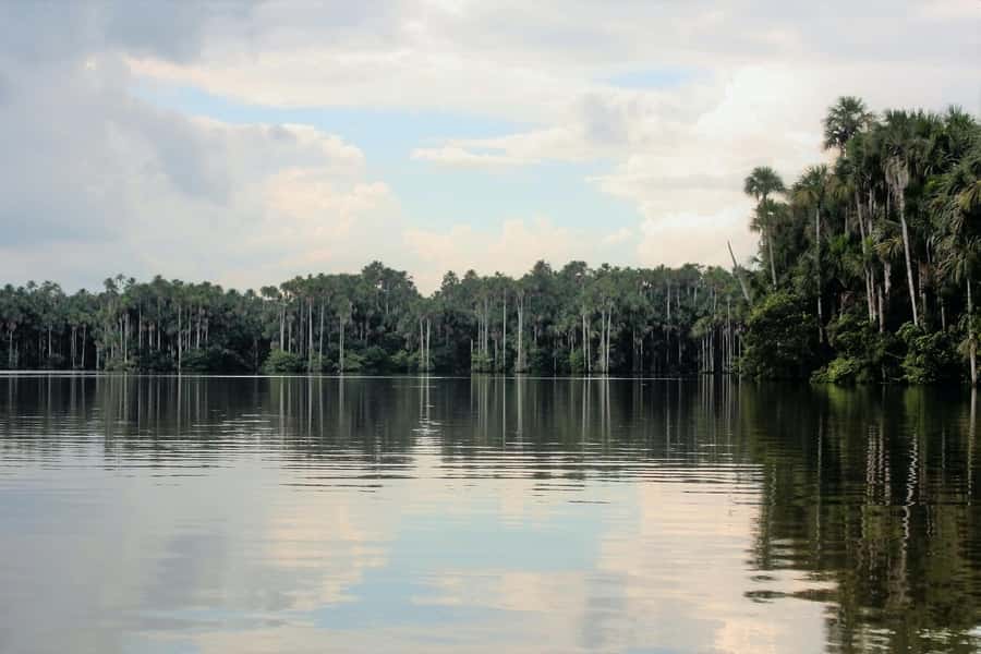 From Puerto Maldonado - Tambopata 4D/3N - Key reasons to consider this Tambopata trip