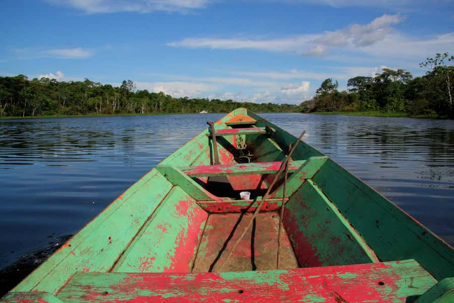 From Puerto Maldonado - Tambopata 4D/3N - Food and jungle accommodation