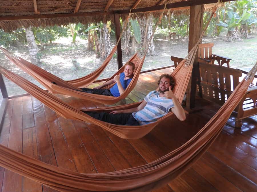 From Puerto Maldonado: Tambopata National Reserve 3-Day Tour - Day 3: Canopy views and the return to Puerto Maldonado