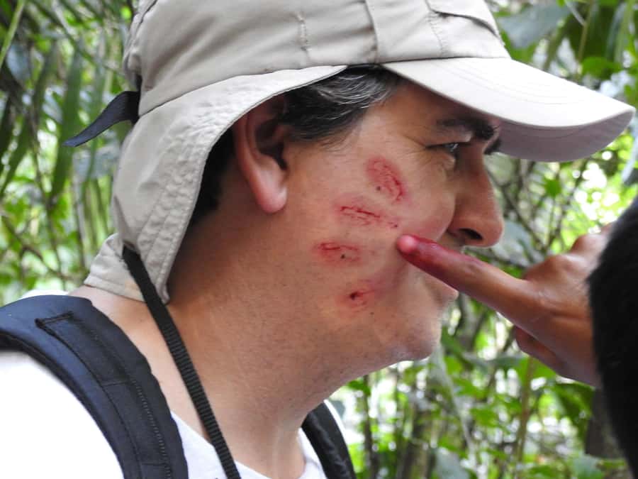 From Puerto Maldonado: Tambopata National Reserve 3-Day Tour - Guides make the difference