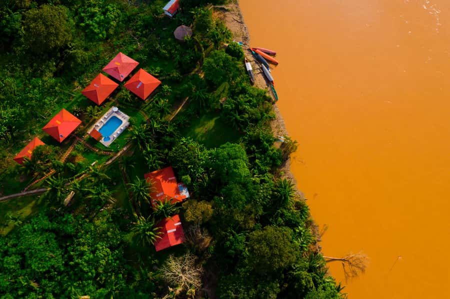 From Puerto Maldonado: Tambopata National Reserve 3-Day Tour - Who should book this tour