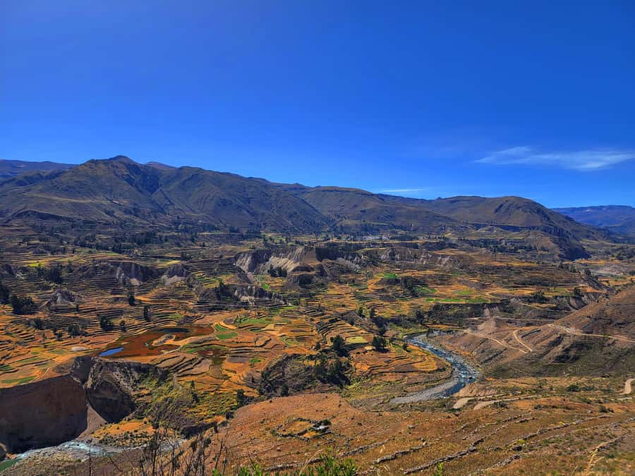 From Puno: 2-Day Tour to Colca Canyon ending in Arequipa - Lagunillas gives the route its first scenic pause