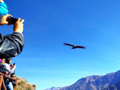 2-Day Tour to Colca Canyon ending in Arequipa