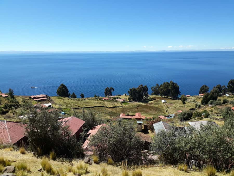 From Puno: full day tour to Uros and Taquile with Lunch - Who should book this experience