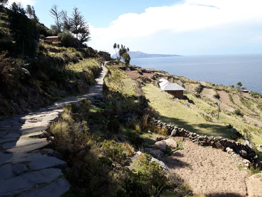From Puno: full day tour to Uros and Taquile with Lunch - Seeing the floating Uros Islands
