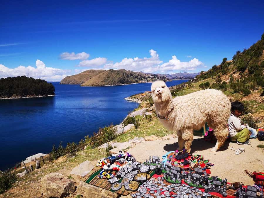 From Puno: Sun Island and Copacabana 1-Day Tour - Crossing from Puno to Copacabana