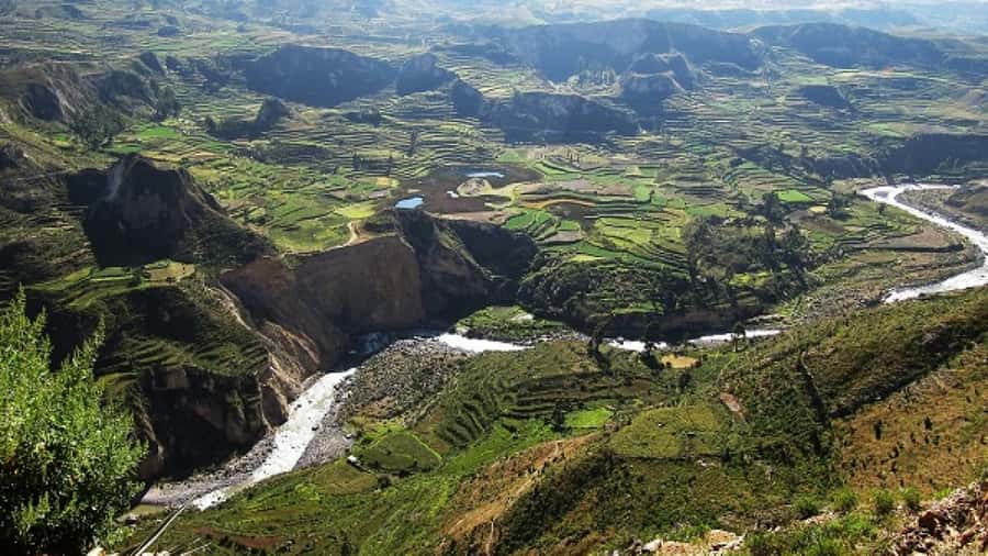 From Puno to Arequipa: 2 Days/1 Night Colca Canyon Tour - Patapampa at 4,830 meters